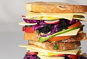 Daiya Plant-Based Mozzarella-Style Slices