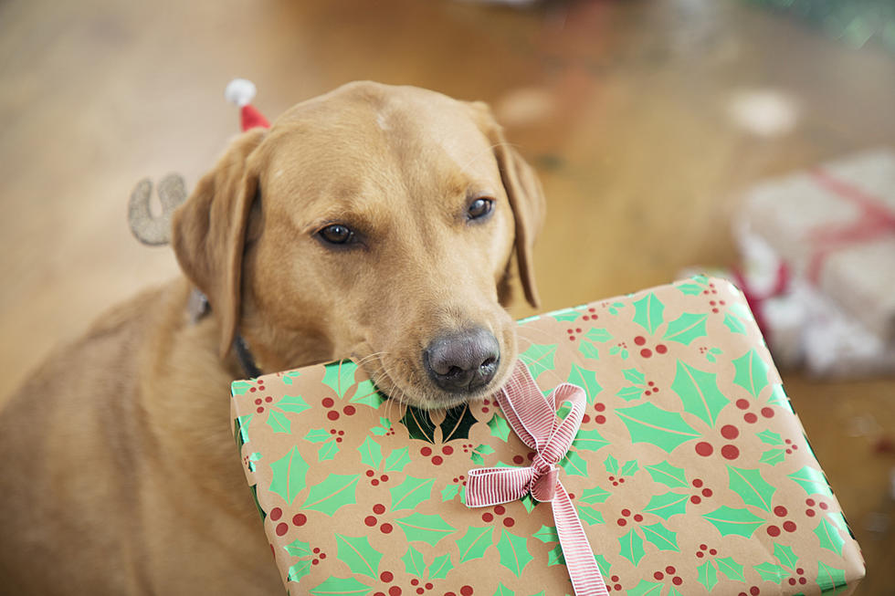Your 2022 Plant-Based & Sustainable Holiday Gift Guide