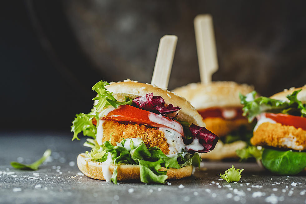 Future Meat Secures Largest Investment in Cultured Meat, $347 Million