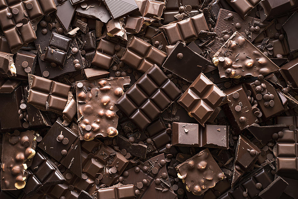 The 10 Best Dairy-Free Chocolate Bars to Satisfy Your Sweet Tooth