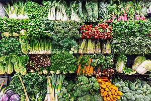 Your Plant-Based Diet Starter Kit: The Only 20 Items You Need to Succeed