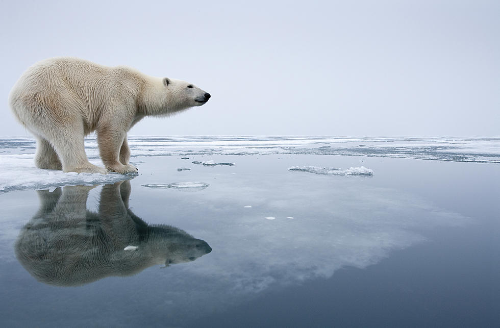 Make This One Simple Change to Your Diet to Help Fight Climate Change