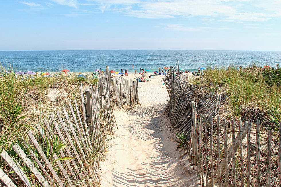 Your Plant-Based Guide to The Hamptons, from South to Montauk