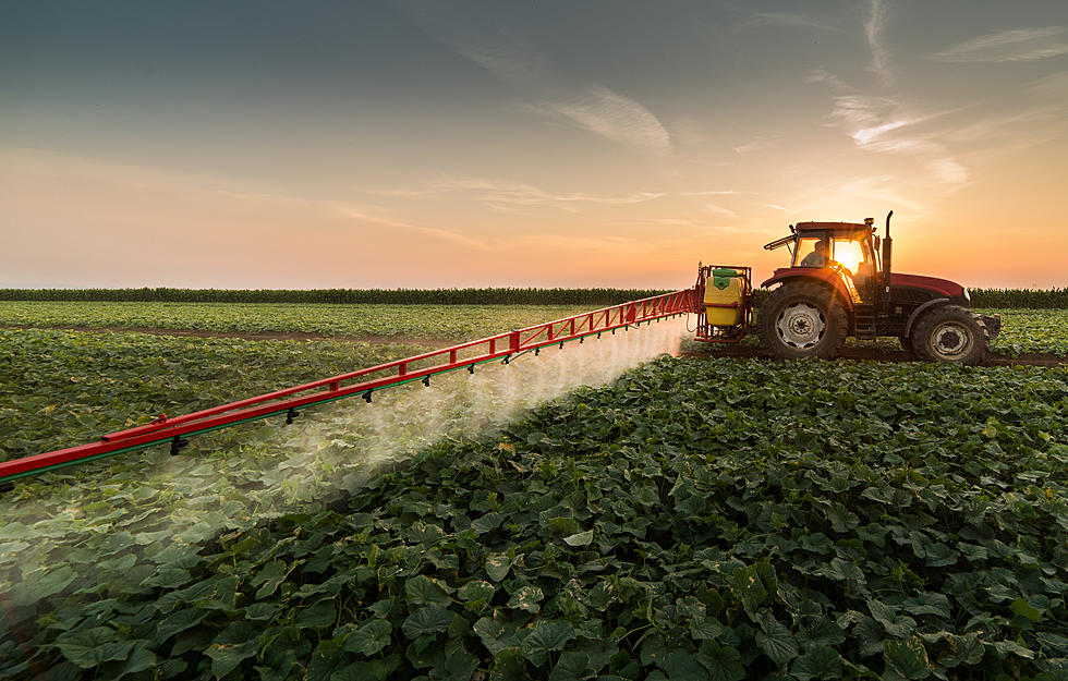 Your Food May Contain a Cancer-Causing Chemical. What to Do About It