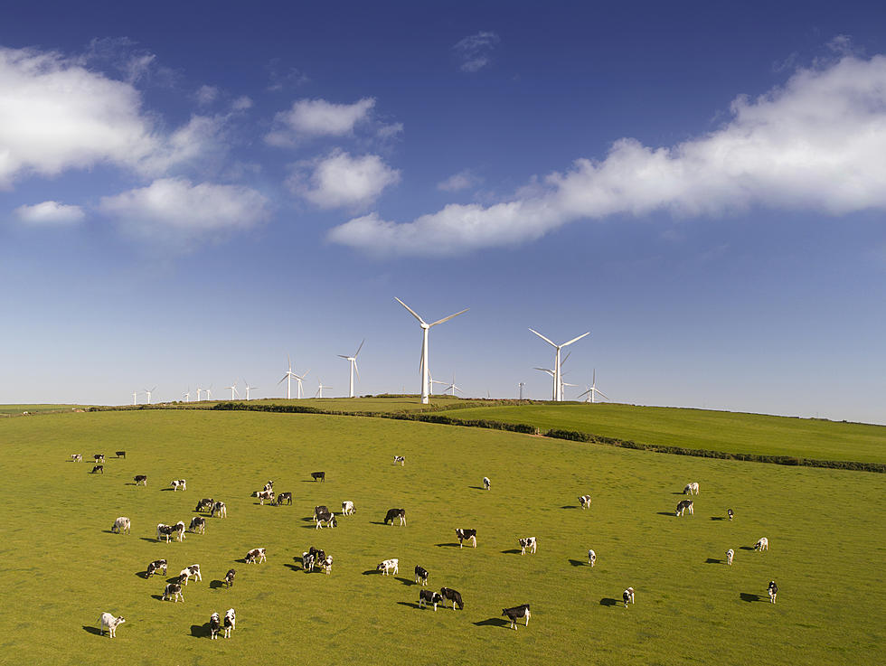 Meat Farming Responsible for 57 Percent of Food-Related Greenhouse Gas Emissions
