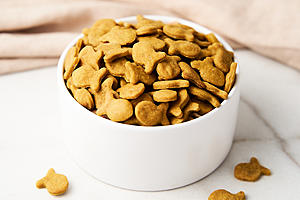 Healthier Homemade Dairy-Free Goldfish