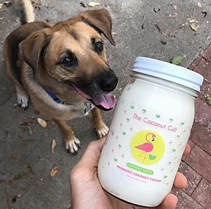 The Coconut Cult Dairy-Free Yogurt