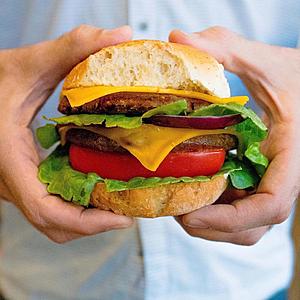 Gardein Chipotle Black Bean Burger