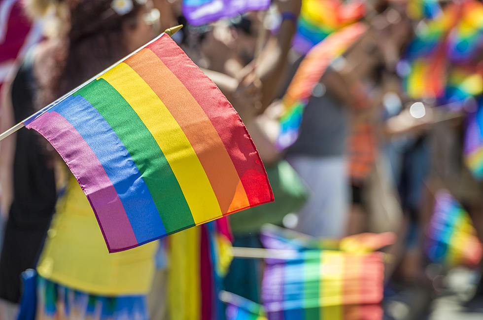 8 Plant-Based LGBTQ+ Brands to Support Now and All Year Long. Happy Pride!