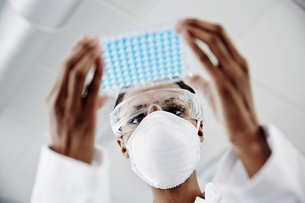 Good News: Researchers Find Alternative to Animal Testing in the Lab