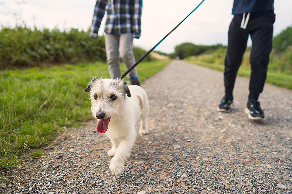 Sitting All Day? Just 11 Minutes of Walking Is Enough to Undo the Damage