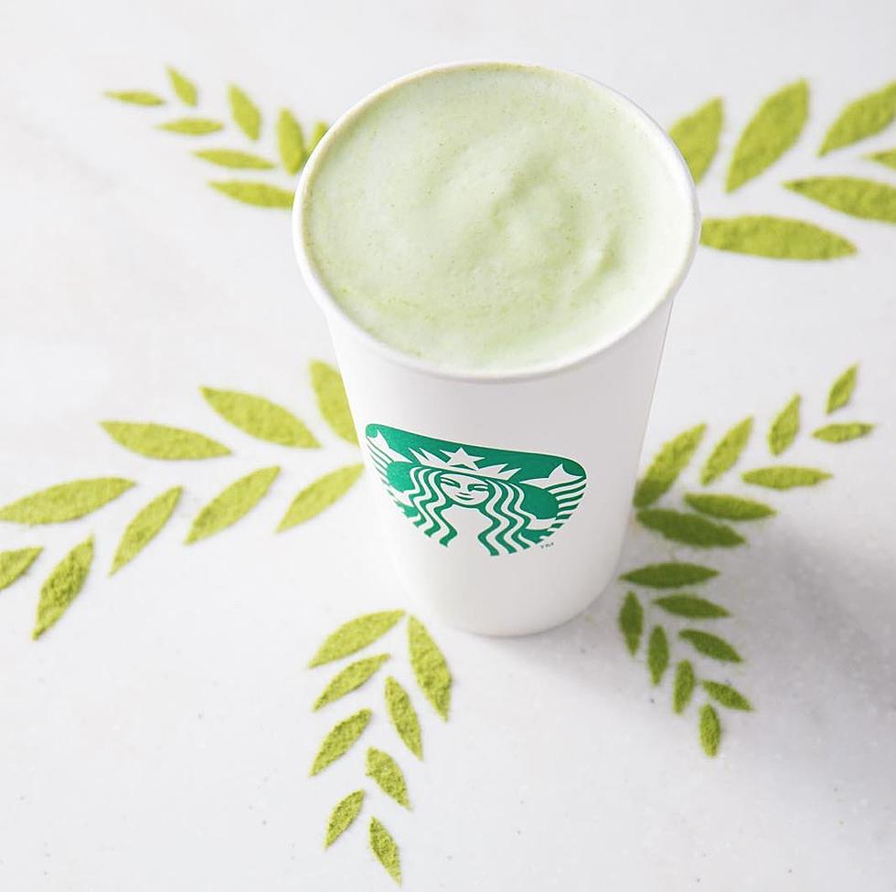 Starbuck CEO Agrees Adding More Plant-Based Milks Will Help Cut Carbon Footprint