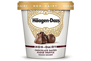 Häagen-Dazs Chocolate Salted Fudge Truffle Non-Dairy