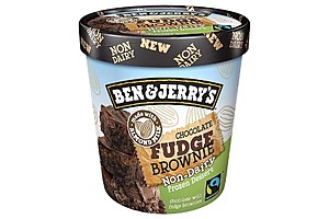 Ben & Jerry's Chocolate Fudge Brownie Non-Dairy Frozen Dessert