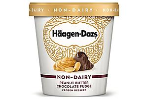 Häagen Dazs Non-Dairy Peanut Butter Chocolate Fudge Ice Cream
